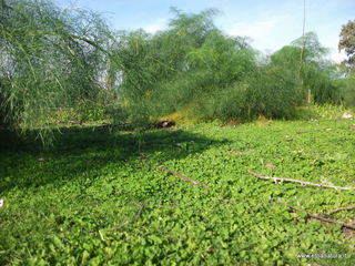 zzena-11-03-2013 08-41-47